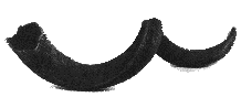 shofar.gif (3551 bytes)